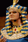 MOSE687.jpg